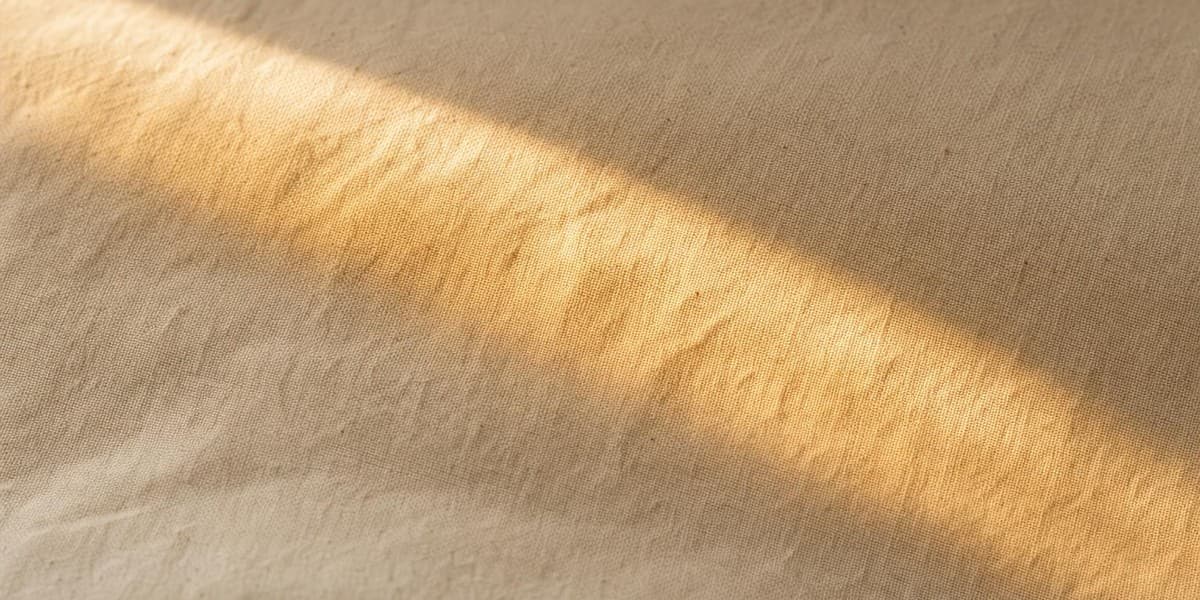 A stripe of warm afternoon light across cream linen.